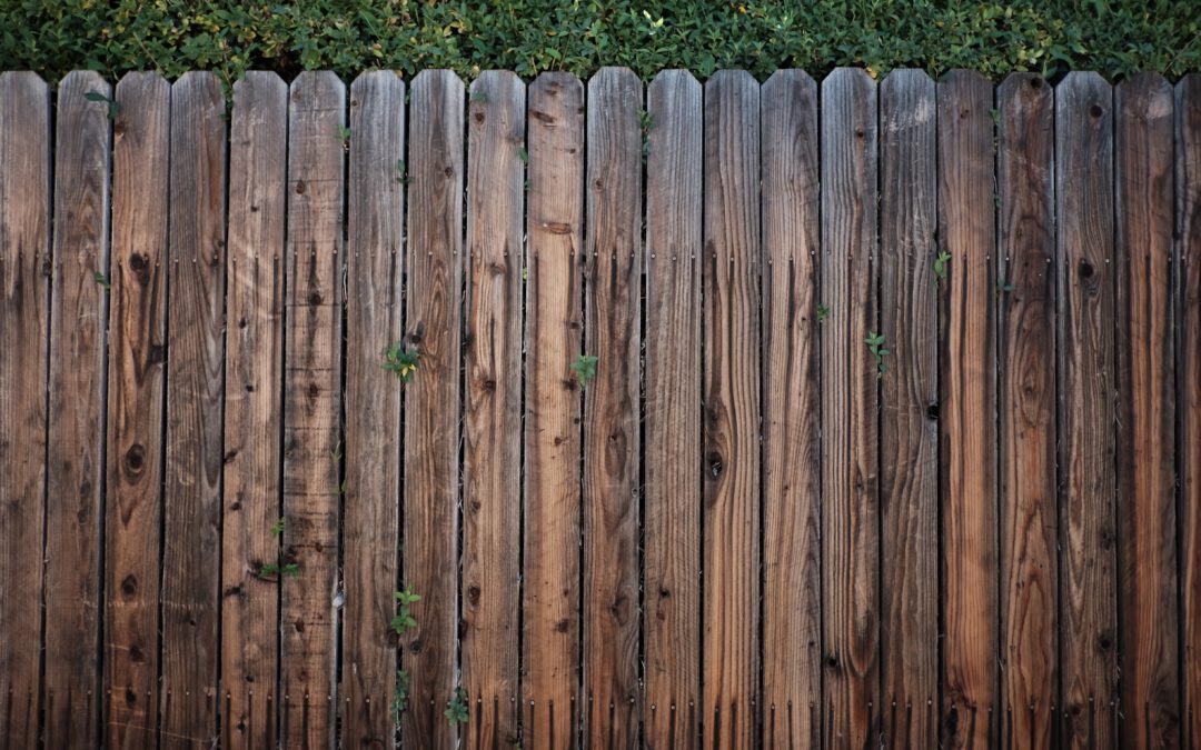 3 tips om te zorgen voor privacy in jouw tuin