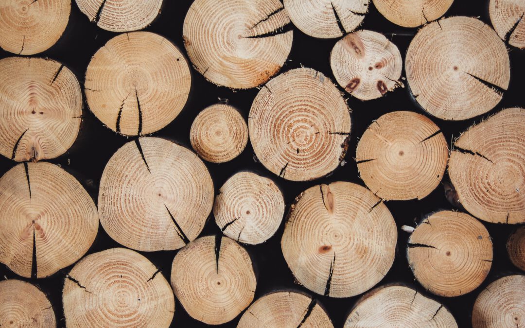 Tuingids: Hoe je hardhout kan gebruiken in jouw tuin