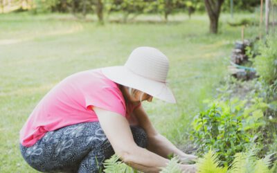 Tuincentrum Van den Beuken: Een oase van schoonheid nabij Venlo